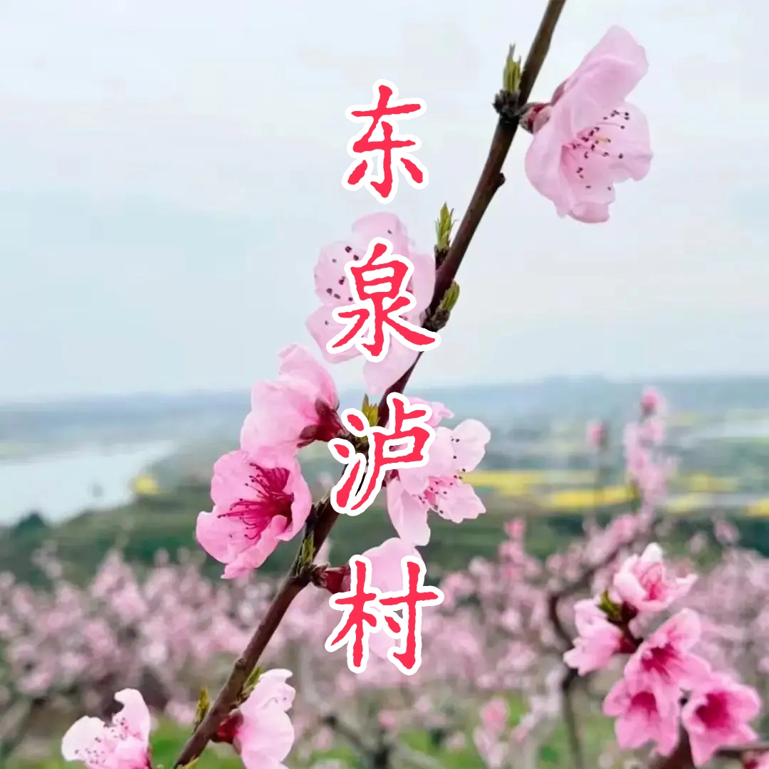 济南南山仲宫东泉泸村VR