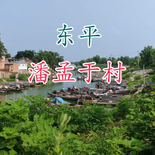 东平湖潘孟于村航拍VR