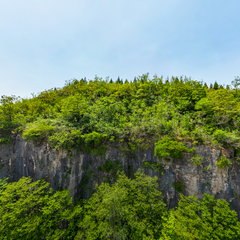 岱崮镇大岭村附近大山